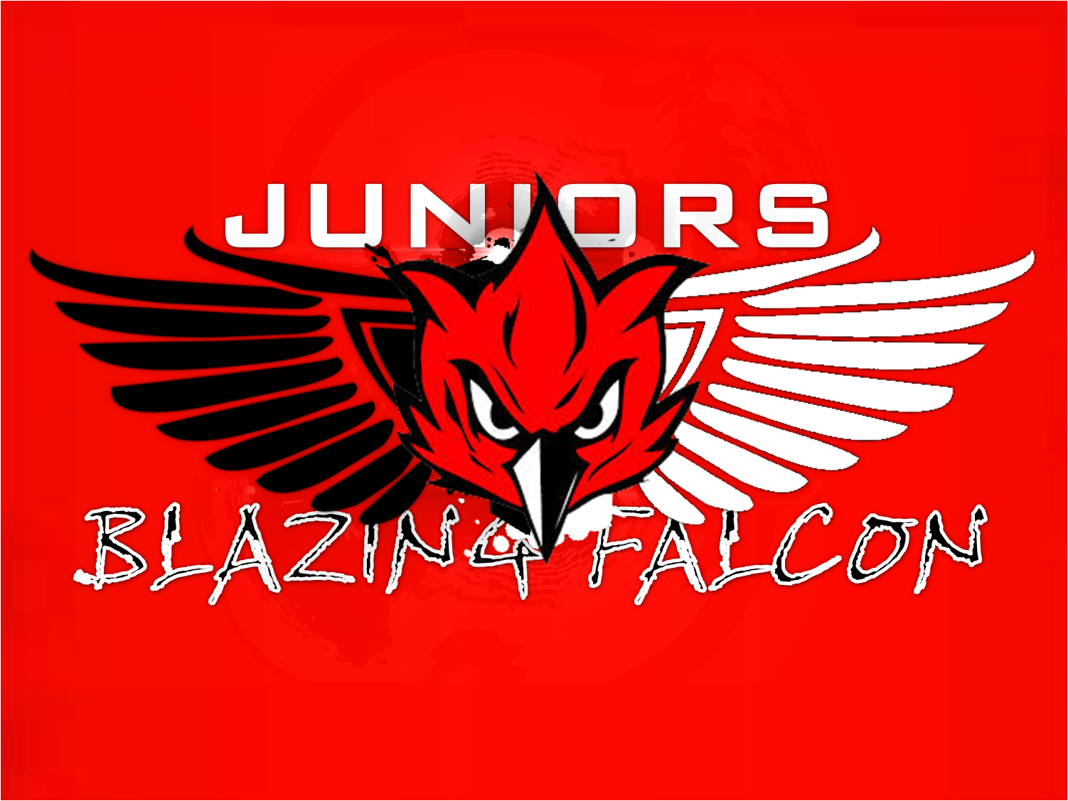falcons